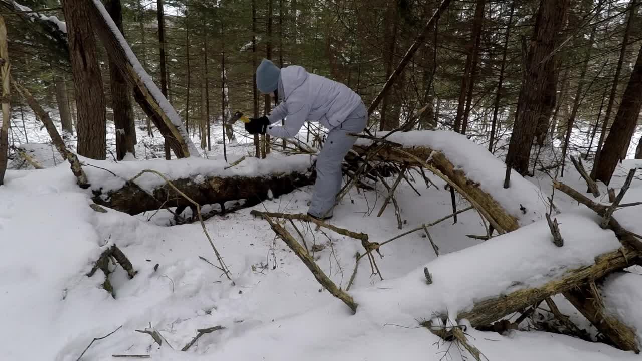 Winter Bushcraft: Camping with my Husky (-20⁰C)-9