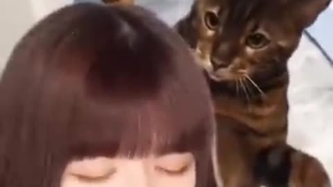 #funny cat