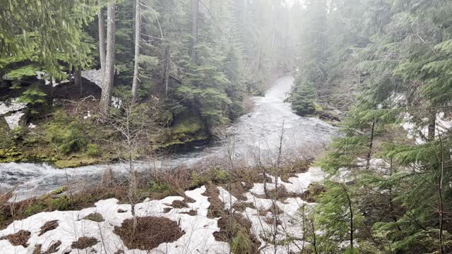 Traversing an Epic Forest Wonderland – Sahalie Falls & Koosah Falls Loop – Central Oregon – 4K