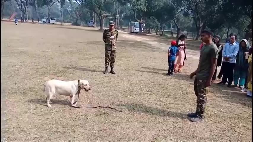 Army dog training