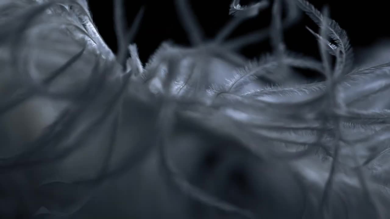 Durante Sofa | Alivar