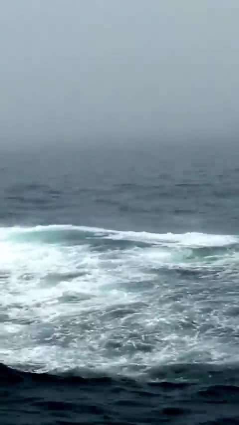 Dekhiae Nadi mein kya ho raha hai