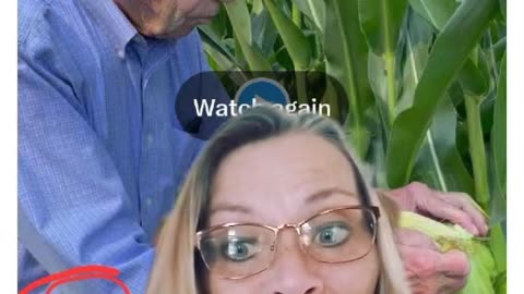 Beginning Of A 10 Days Of Something