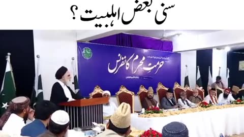 Sayed_Jawad_Naqwi_Hifzullah_In_Confirance