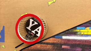 Hamster Escape: Among Us Maze - Cute Hamster pets Maze #hamsterescape #mazediytraps