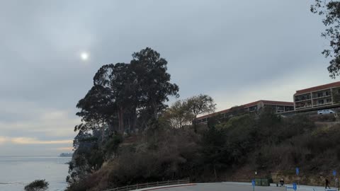 Clouds, Trees and Sun