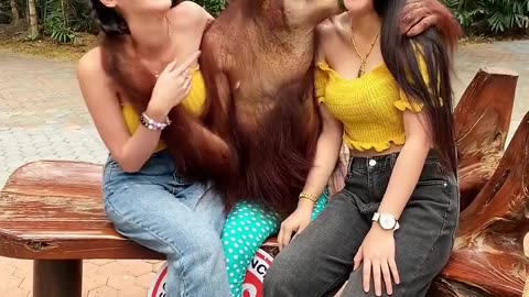 😅🤣