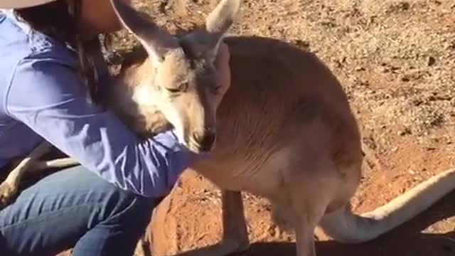 Kangaroo Hugs with Queen Abi