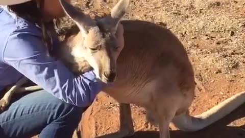 Kangaroo Hugs with Queen Abi