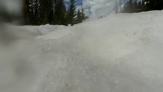 Bear Investigates Lost GoPro