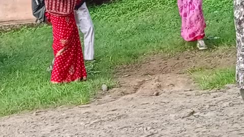 Gai jatra
