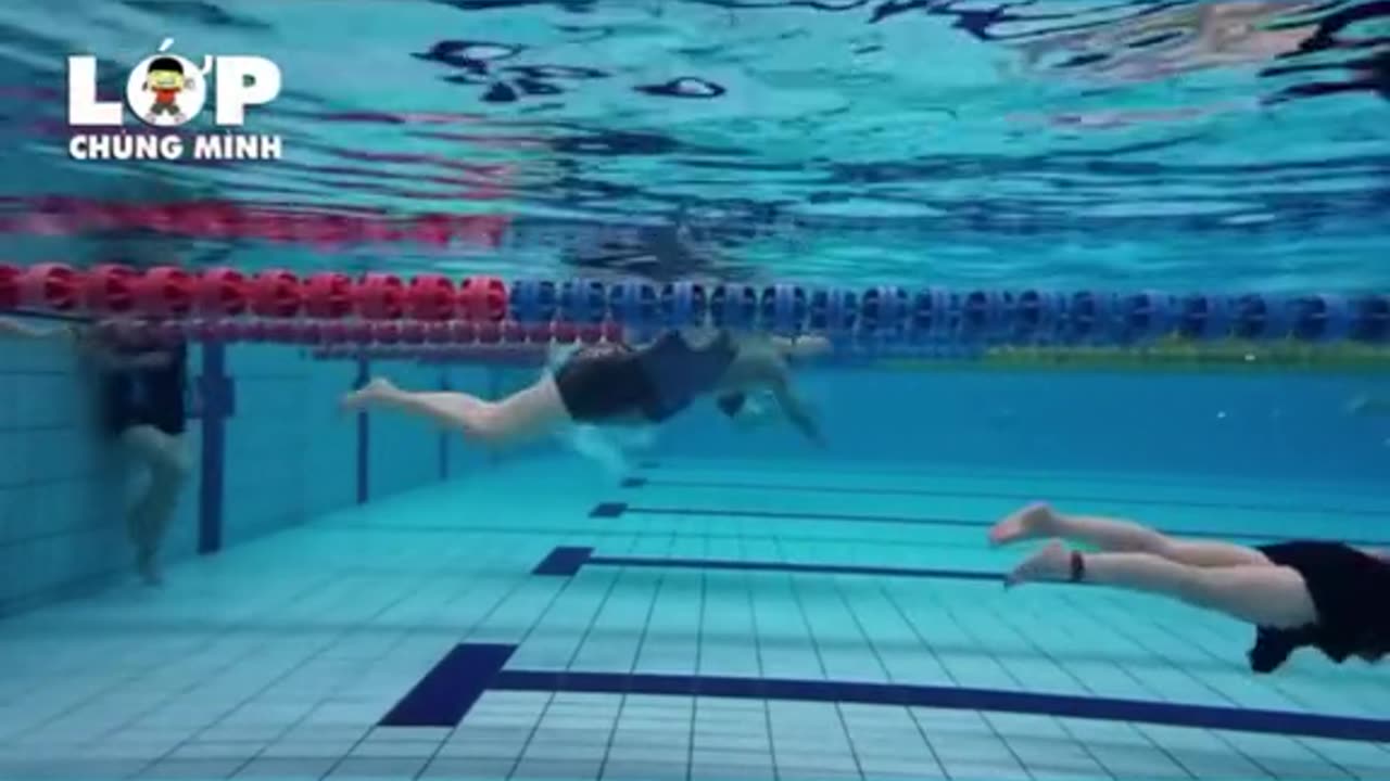Bể bơi sinh động - Lively swimming pool