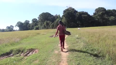 Cambodian Lifestyle ,The Girl found Big fish and than Cooking in Forest