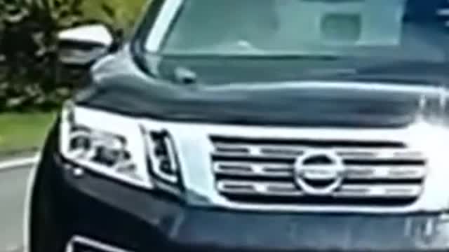 crazy drivers