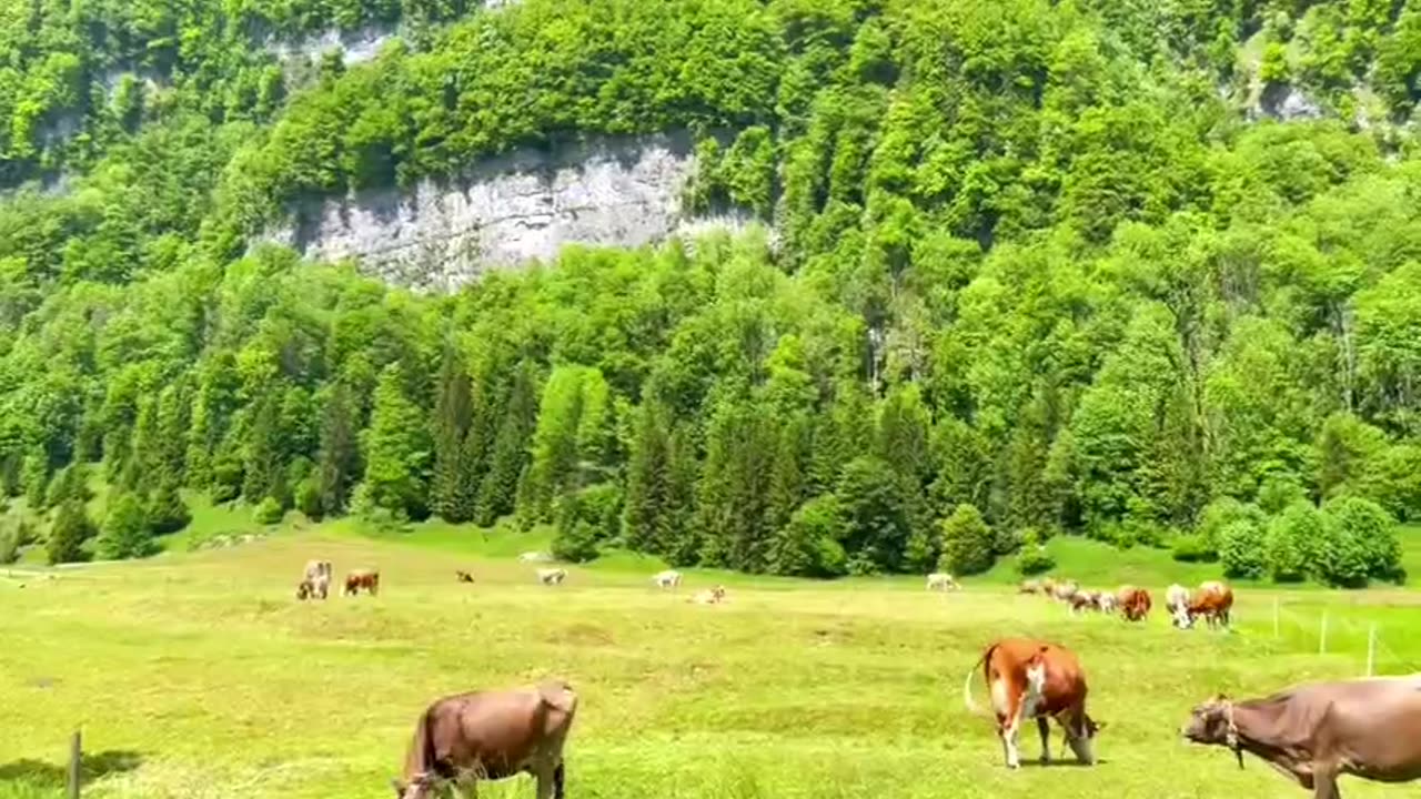 Ebenalp_ Switzerland - Unbelievable Places On Earth - Breathtaking Nature in HD - Travel Vlog