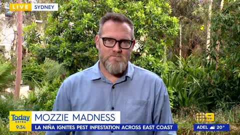 Mosquito influx hitting Australia's east coast amid La Niña