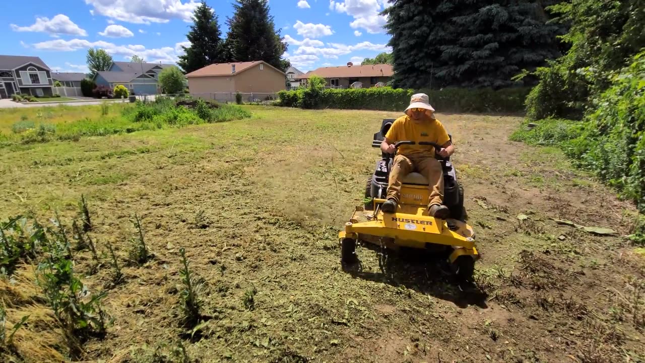 Overgrown Property Mowing [CAUTION: 4ft Weed Jungle]