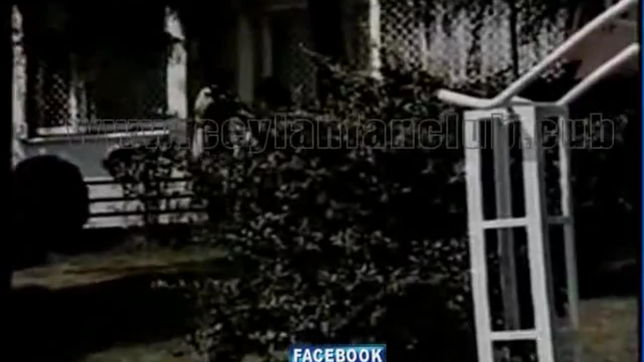 ANA KUCAĞI - CEYLAN -FiLM