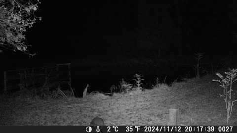 Teich121124