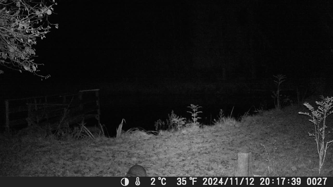 Teich121124