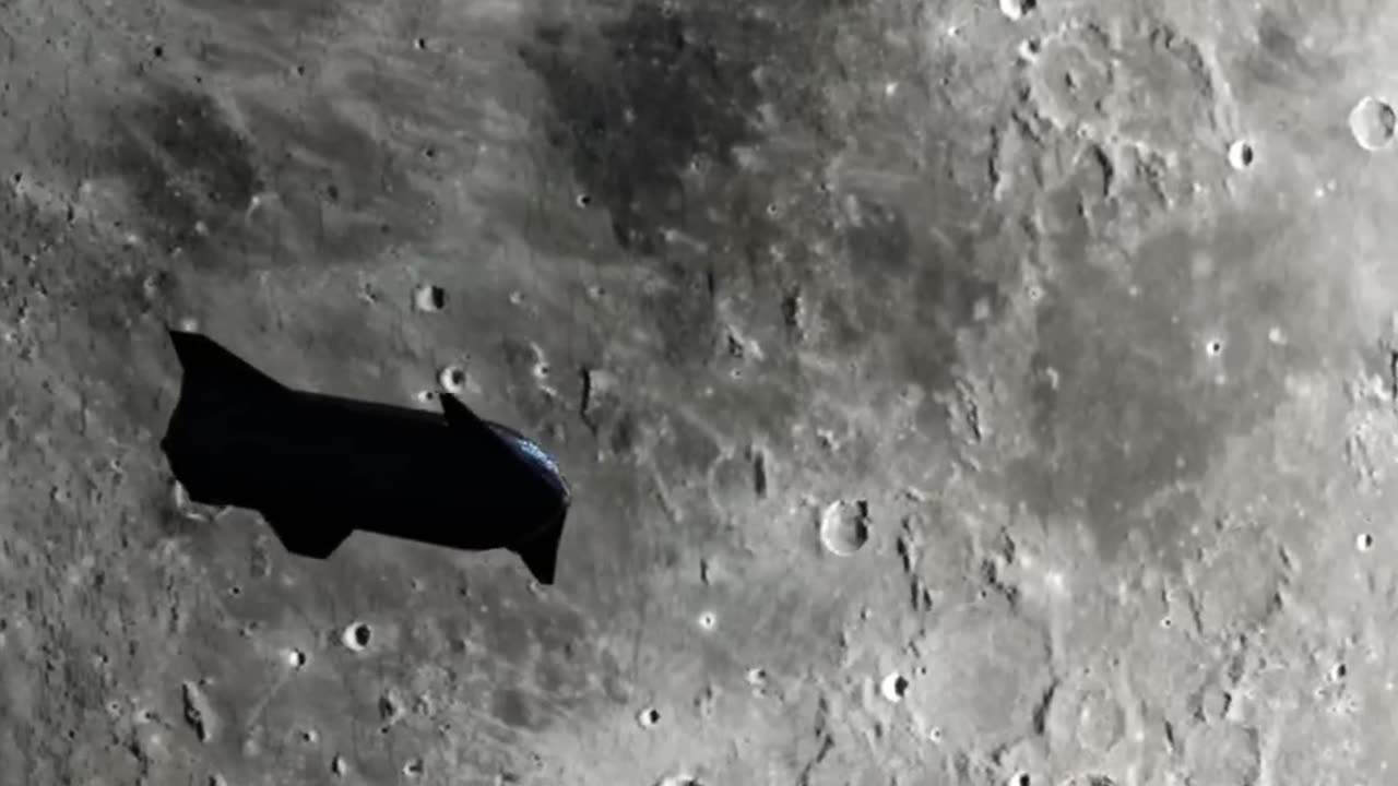 Starship dearMoon