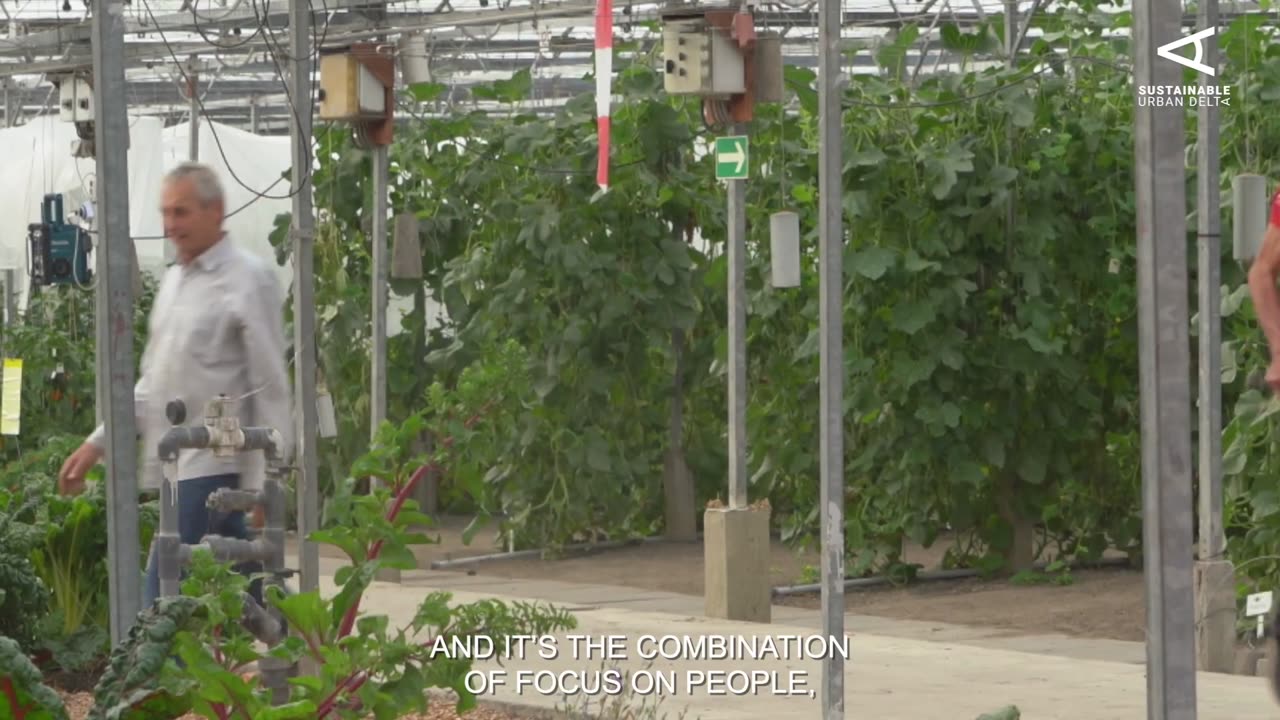 This Dutch greenhouse grows healthy food and local communities