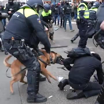 Police Use Dogs, Batons In Violent Clashes With Protesters Against Vaccine Lockdowns and Mandates