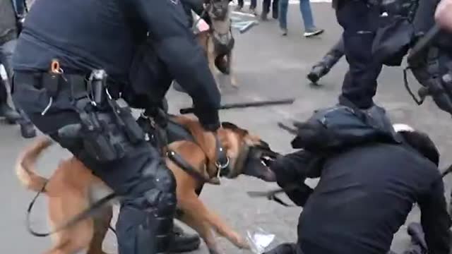 Police Use Dogs, Batons In Violent Clashes With Protesters Against Vaccine Lockdowns and Mandates