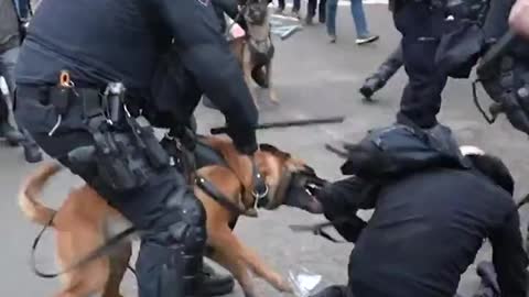 Police Use Dogs, Batons In Violent Clashes With Protesters Against Vaccine Lockdowns and Mandates