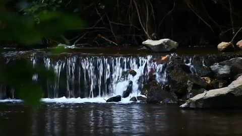 MEDITATION VIDEO