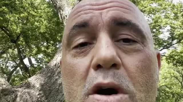 Joe Rogan reveals he contacted coronavirus, cured within two days with a cocktail of therapeutics