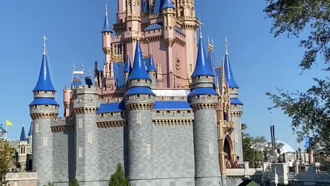 Breaking⛔️Cinderella Castle Burned To The Ground!