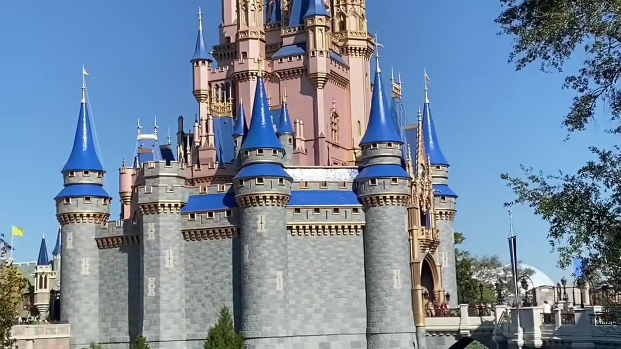 Breaking⛔️Cinderella Castle Burned To The Ground!