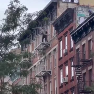 Safe your life please?