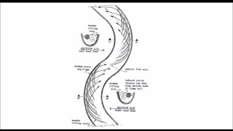 Viktor Schauberger's Water Science_ Can Diamagnetism and Vortex Motion Lift and Propel Large Masses_