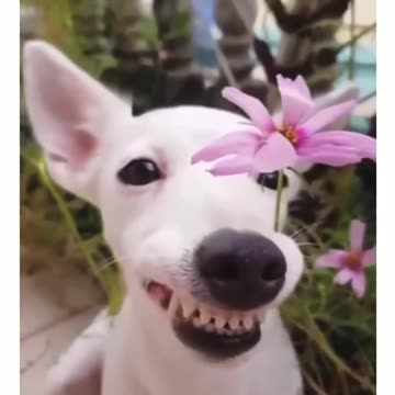 This made my morning 😂