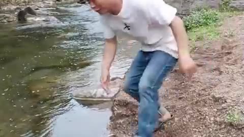 Best Funny Videos