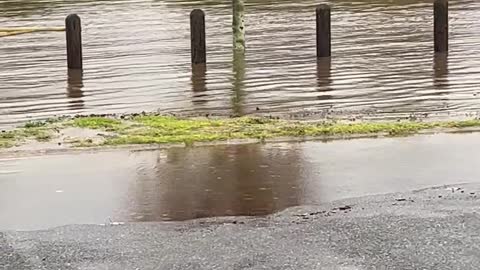 Flooding in Stanthorpe, Queensland