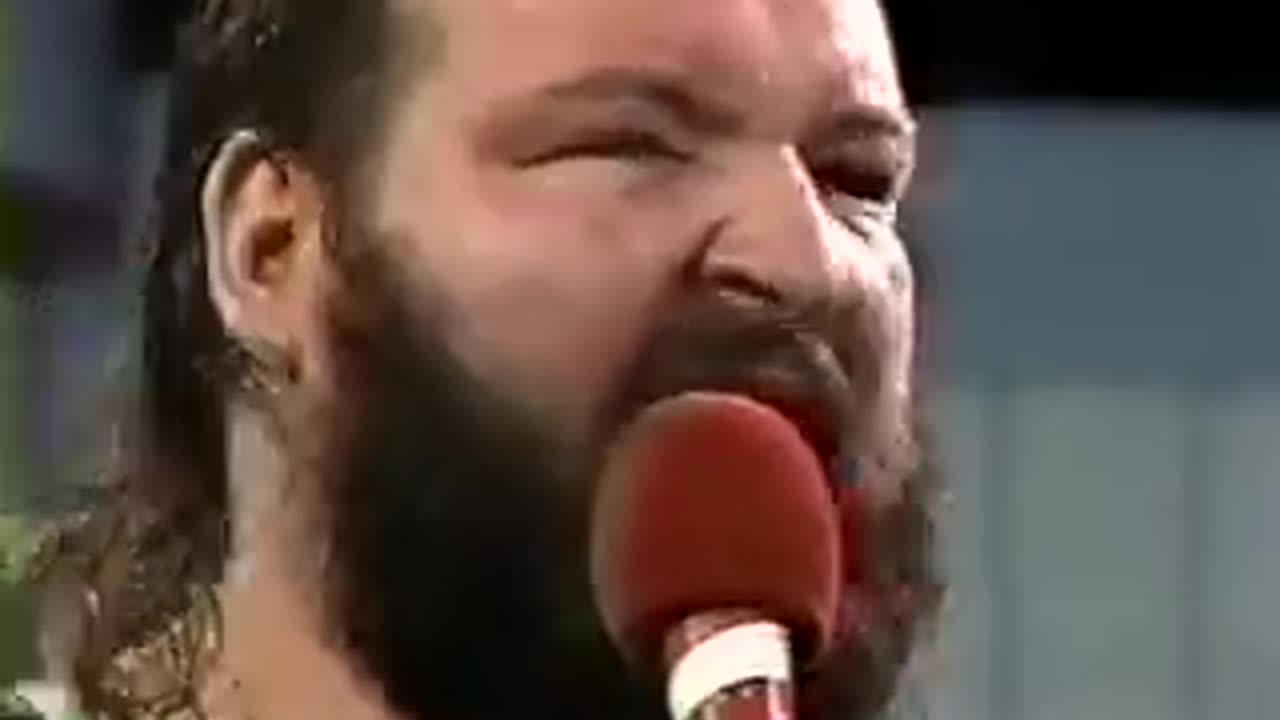 WWF Wrestling Challenge - Oct 20 1991