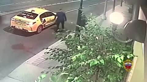 Russian grandma overpowers robber