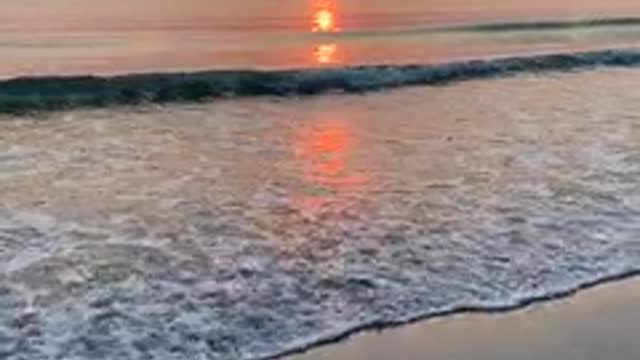 Nature video