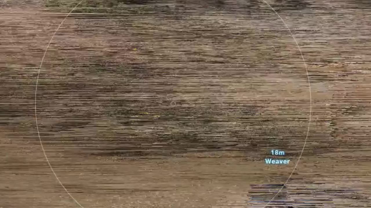 Tom Clancy Ghost Recon Wildlands Shorts