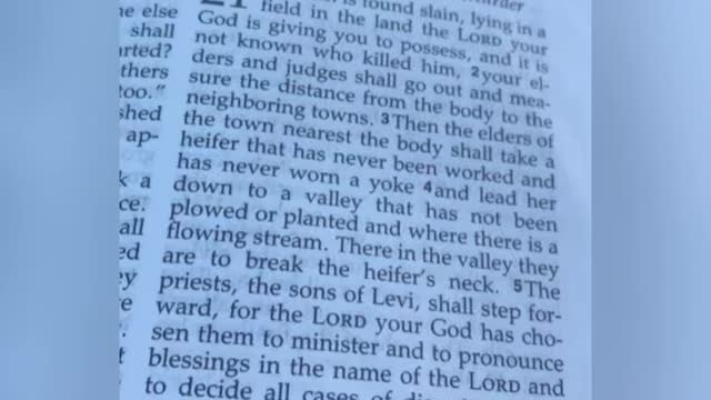 Deuteronomy 21 & Numbers 35 Arkencide, Abortion, Pedophilia, Satanic Ritual Killing