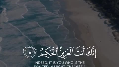 Quran Says , Beautiful recitation of Quran