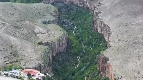 Beautiful nature nature 🌿🍃 beauty