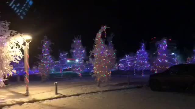 Fairytale Christmas tree park