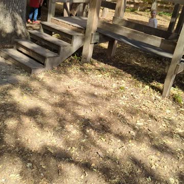 Roca Berry Farm Tree House 2022