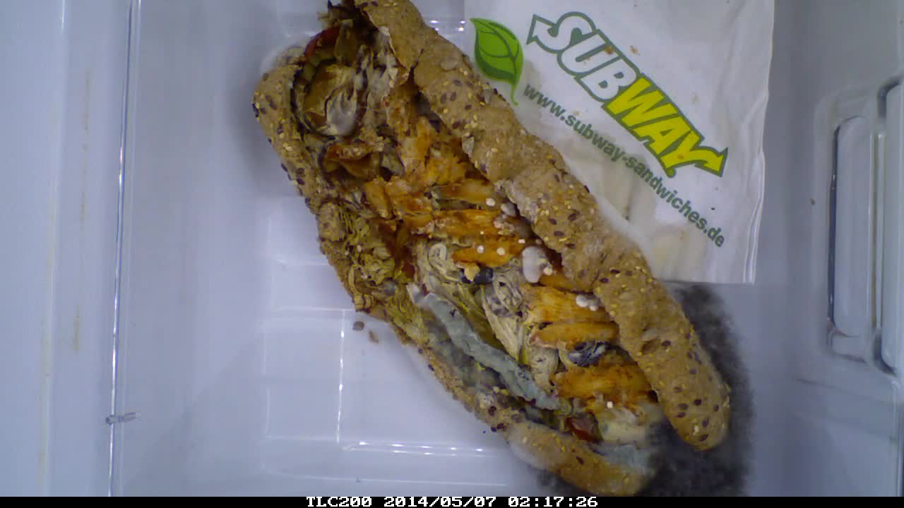 Timelapse - Rotting a Subway Sandwhich