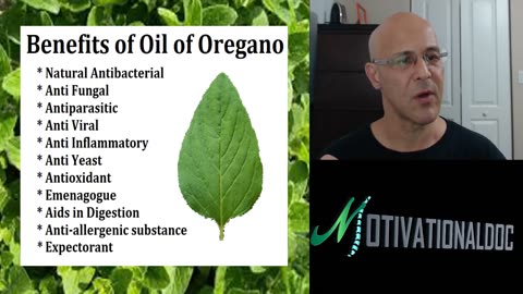 The Miracle Healing of Oil of Oregano (The Best Home Remedies) - Dr. Alan Mandell D.C.