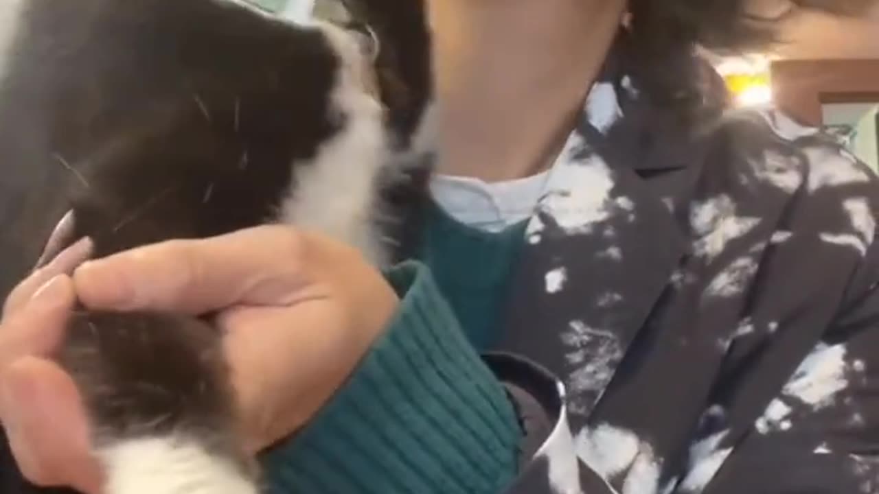 When I kissed my cat